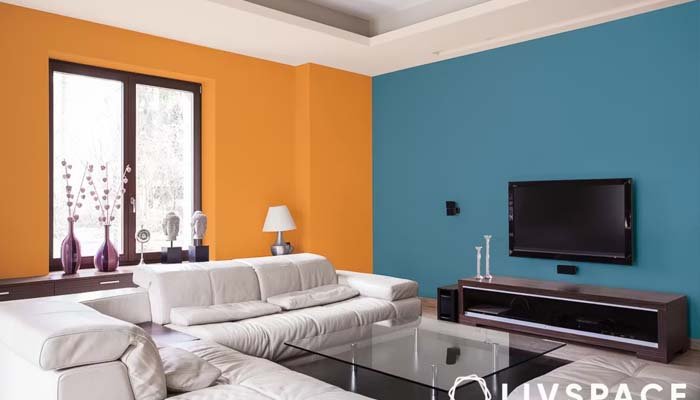 What Is Home Colore and How Do You Choose the Best Colors for Every Room? Home Colore